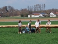 DSCF0413